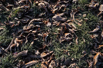 most legií bridge prague, Czech Republic