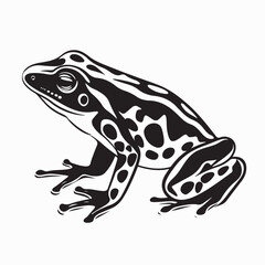 Tropical frogs Vector. Black and  White Tropical frog Vector Image on white background