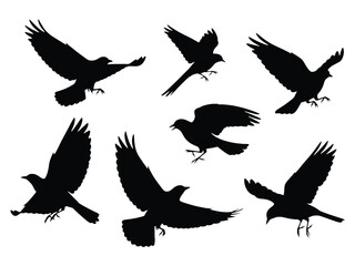 A flock of black birds in flight a silhouette against a white background