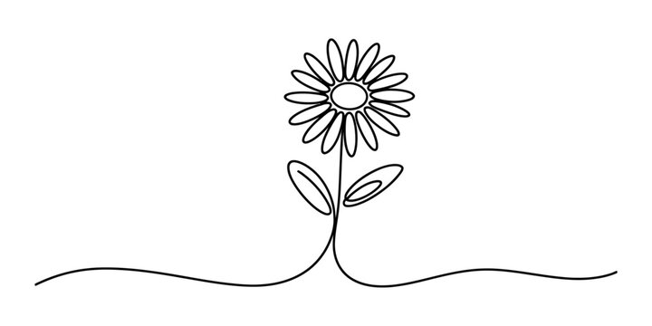 A beautiful minimalist continuous line drawing of a single daisy flower in elegant black and white. Vector, illustration