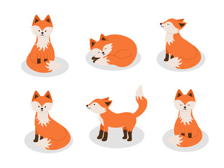Set of cute cartoon foxes. Funny foxes in different poses. Vector illustration forest animals.