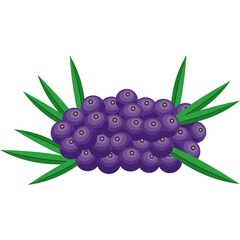 Acai berry cluster with green palm leaves, isolated on a white background. Tropical superfruit concept ideal for healthy food, organic products, branding, packaging, and Amazonian themes.