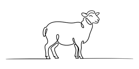 Minimalist single line art drawing of a standing sheep on a white background Vector, illustration