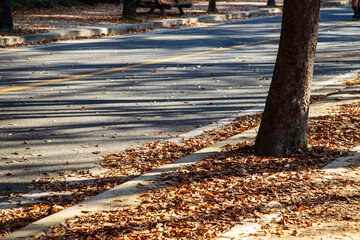 가을 풍경, 인천대공원