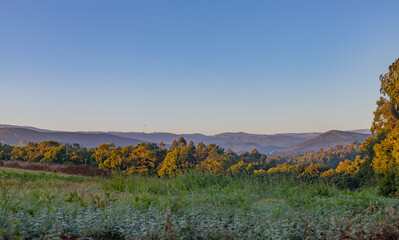 Early morning light in Galicia