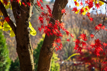 가을 풍경, 춘천