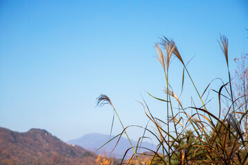 가을 풍경, 춘천