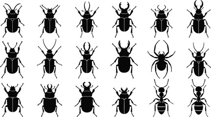 Collection of insect silhouettes including various beetles, spiders and ants, detailed entomology illustration set for science projects, education materials and design use © Asha Moni