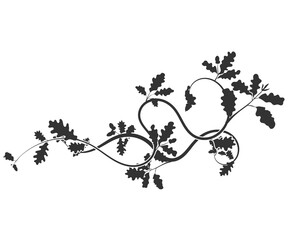 Beautiful oak weaving pattern element new vector