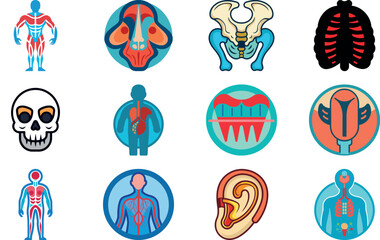 Fototapeta premium Human Anatomy Icon Set Featuring Heart, Liver, Kidney, Lungs, Intestine, Digestive System, Muscular System, Nervous System and Internal Organs – Flat Medical Vector Illustration for Healthcare, Educat