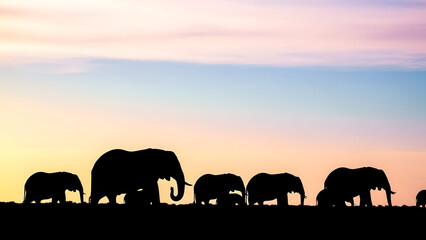 Fototapeta premium Silhouettes of Elephants Walking Across the Sunset Savanna Landscape with a Peaceful Sky