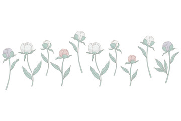 Peony Buds Floral Design Elements