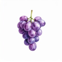 Fototapeta premium Vibrant cluster of fresh purple grapes, a healthy and delicious snack rich in antioxidants, beautifully depicted with natural detail on a clean white background