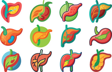 Human Anatomy Icon Set Featuring Heart, Liver, Kidney, Lungs, Intestine, Digestive System, Muscular System, Nervous System and Internal Organs &ndash; Flat Medical Vector Illustration for Healthcare, Educat