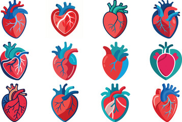 Human Anatomy Icon Set Featuring Heart, Liver, Kidney, Lungs, Intestine, Digestive System, Muscular System, Nervous System and Internal Organs &ndash; Flat Medical Vector Illustration for Healthcare, Educat