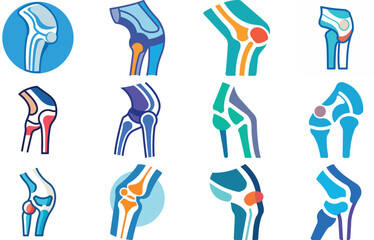 Human Anatomy Icon Set Featuring Heart, Liver, Kidney, Lungs, Intestine, Digestive System, Muscular System, Nervous System and Internal Organs &ndash; Flat Medical Vector Illustration for Healthcare, Educat