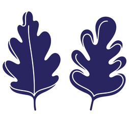Obraz premium Two stylized dark blue oak leaves vector illustration on a clean white background design