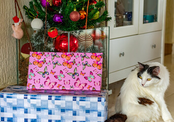 presentes de Natal com um gato ao lado