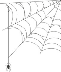 Fototapeta premium Spider hanging from a web in a corner