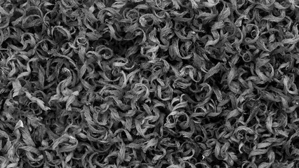 Black and White Abstract Texture of Dried Curled Natural Fibers