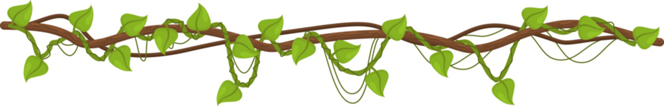 Jungle vines with green leaves forming a border