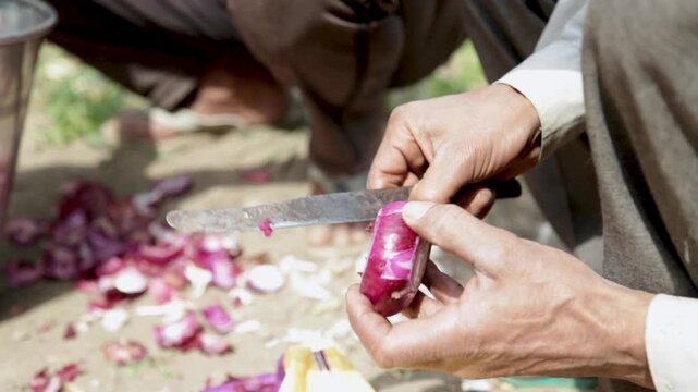 Hands peel red onions during food preparation for a poor village wedding in Uttarakhand, India. The scene shows rural marriage cooking, community help, tradition, and simple village life.