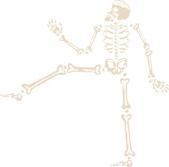 Dancing human skeleton kicking leg cartoon illustration