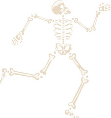 Running skeleton illustration showing dynamic movement