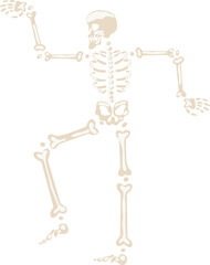 Skeleton dancing cheerful halloween celebration and medical concept