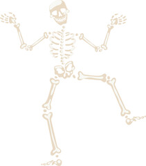 Dancing skeleton character posing on white background