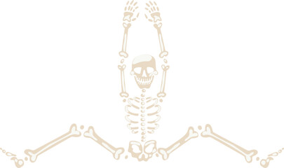 Skeleton sitting reaching performing flexibility exercise