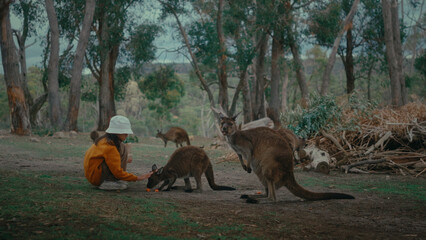 A joyful child interacts with friendly kangaroos outdoors, showing a lovely connection to wildlife and nature