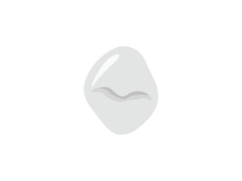 Human Tooth Incisal Anatomy Illustration