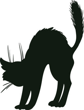 Black cat silhouette arching back for Halloween concept