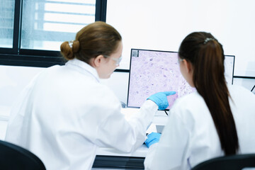Fototapeta premium Team of female scientists analyzing digital pathology slides on computer. Caucasian and Asian researchers reviewing histology data for medical diagnosis in modern lab.