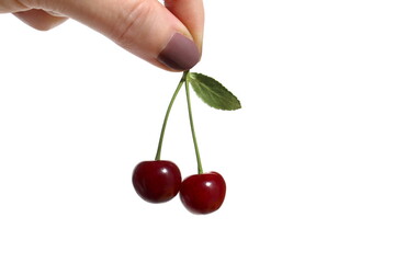 A woman's hand holds a ripe cherry on a white background.