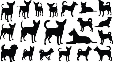 Set of black chihuahua dog silhouettes vector illustration, standing, walking, sitting and lying down poses, isolated on white background for pet shop logo design © Abida