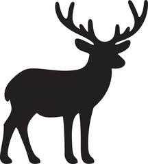 Fototapeta premium Detailed vector illustration of a mule deer buck with large antlers
