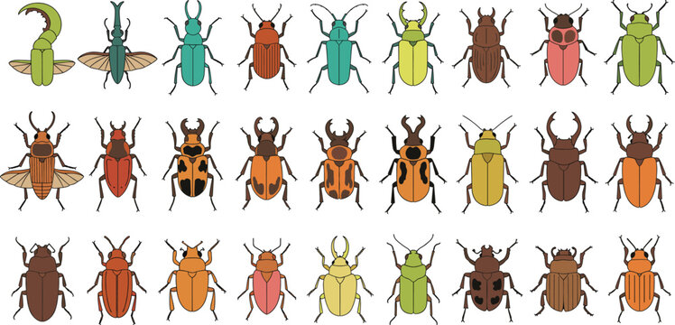 Extensive vector set featuring a large and diverse collection of stylized insects and beetles in various colors and shapes, perfect for nature, science, biology, and entomology designs.