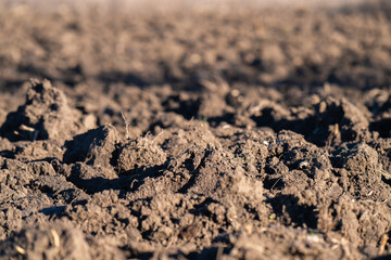 plowed black soil