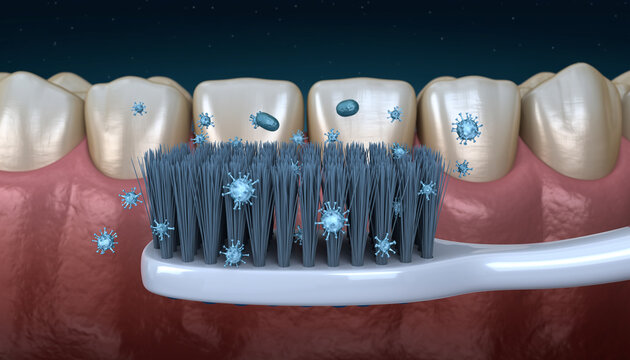 Microscopic View Of Bacteria On Toothbrush Bristles And Teeth germs microbes