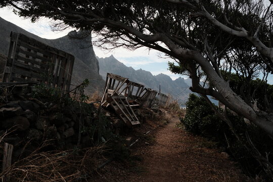 A moody, shadowy path winds through rugged terrain with twisted trees and wooden debris under a dark, cloudy sky, opening a perfectly framed view on the mountains of Almaciga and Taganana, Tenerife.