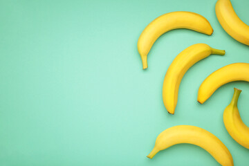 Yellow bananas flat lay on mint background.