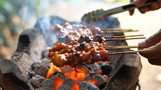 Grilling Chicken Satay Skewers Over Hot Charcoal, Close Up