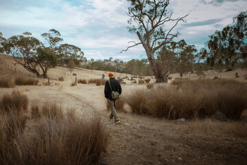 A figure walks through a tranquil, dry landscape, enjoying the serene atmosphere
