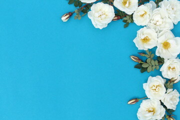 White buds of wild rose flowers lie on a blue background.	