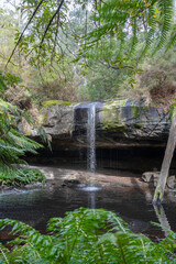 Kalimna Falls along Cumberland River trek, Great Ocean Road, Australia