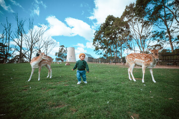 A playful child surrounded by friendly deer in a beautiful outdoor setting.
