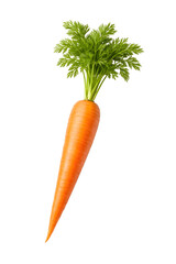 carrots on a white background