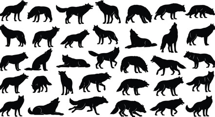 wolf, silhouette, pose, animal, standing, walking, running, sitting, lying, howling, sniffing, black, white, icon, illustration, vector, design, symbol, wildlife, nature